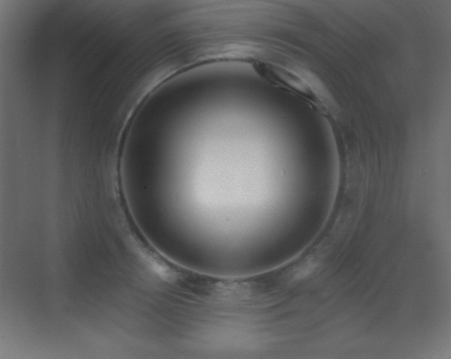 X0000070240850200606021128