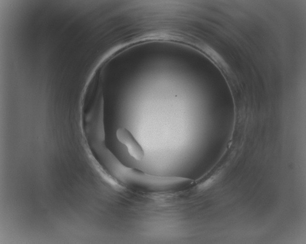 X0000070240854200606021128