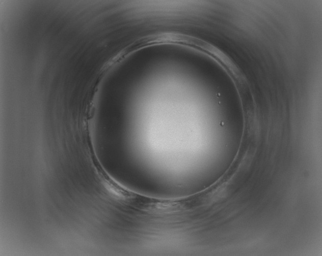 X0000070240857200606021128