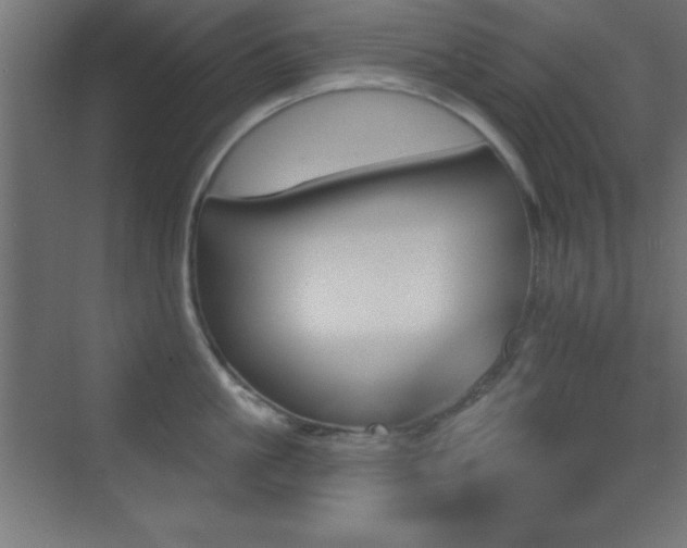 X0000070240861200606021128