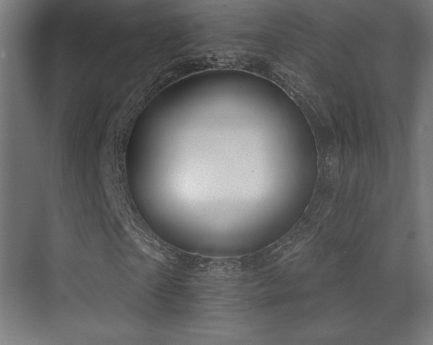 X0000070240865200606021127