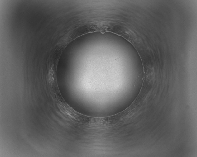 X0000070240866200606021127