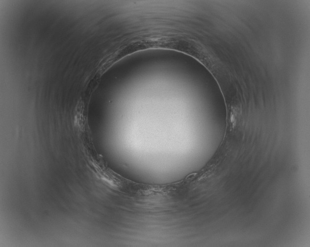 X0000070240867200606021127
