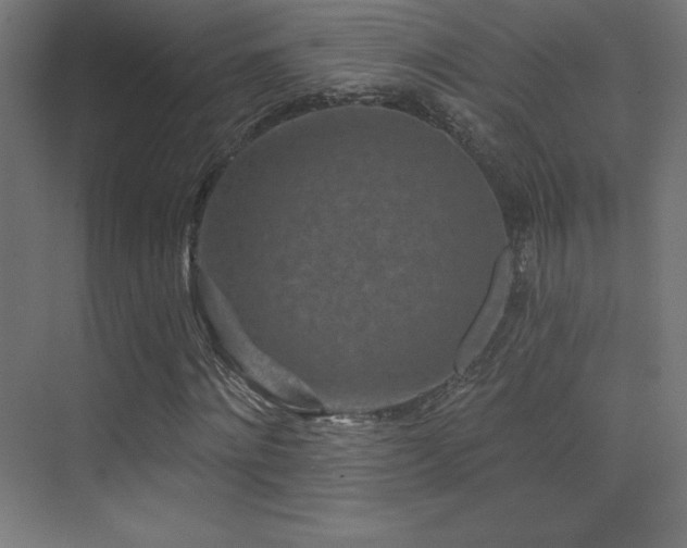 X0000070240868200606021127
