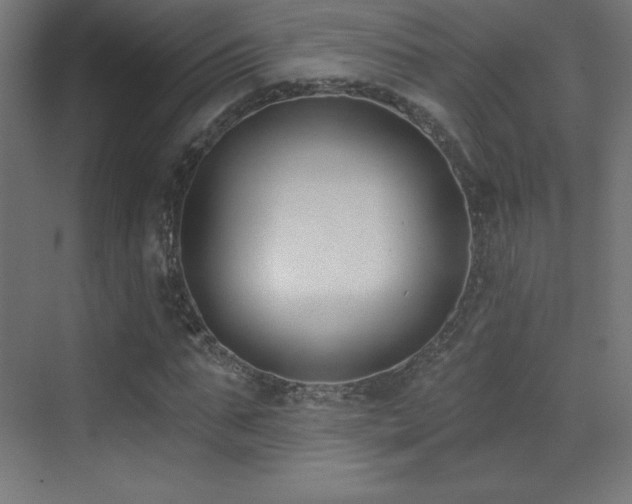 X0000070240871200606021127