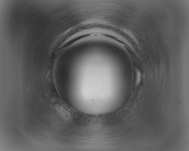 X0000070240872200606021127