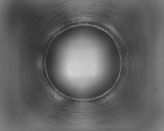 X0000070240873200606021127