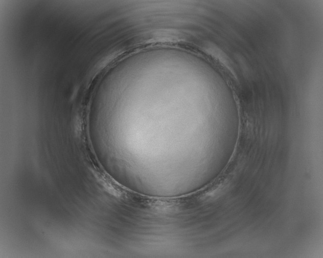X0000070240874200606021127