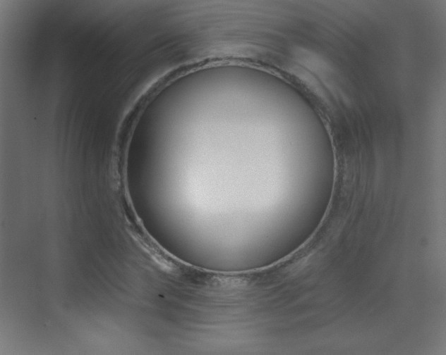 X0000070240878200606021127