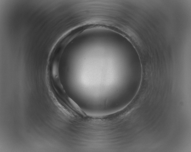 X0000070240880200606021127