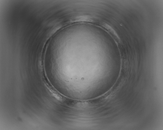 X0000070240882200606021127