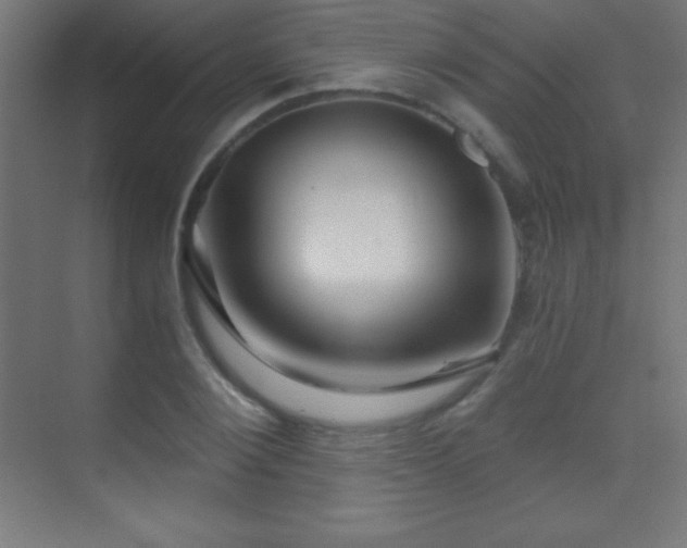 X0000070240884200606021127