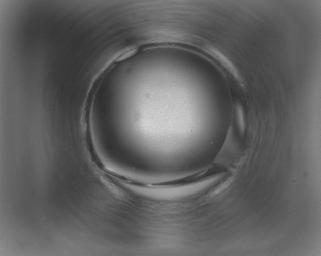 X0000070240885200606021127