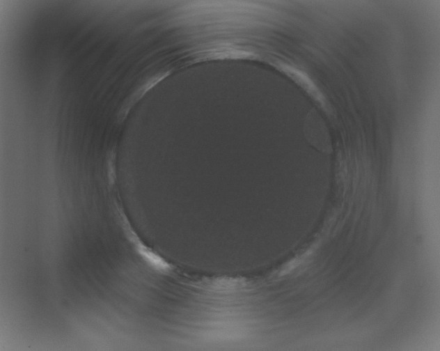 X0000070240889200606021127