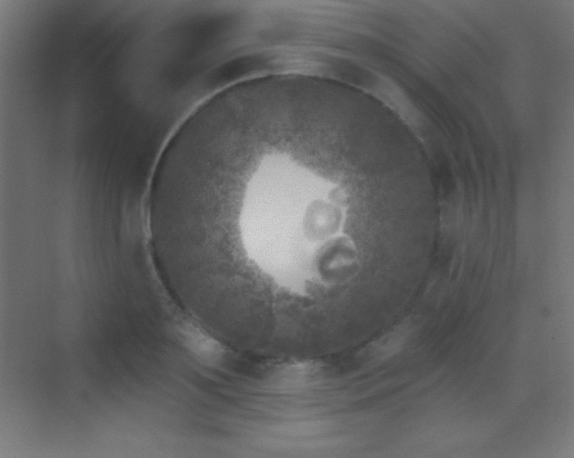X0000070240891200606021127