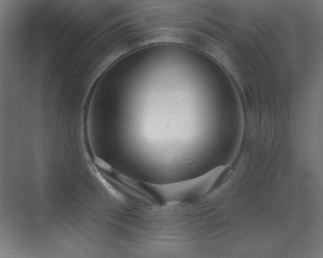 X0000070240898200606021127