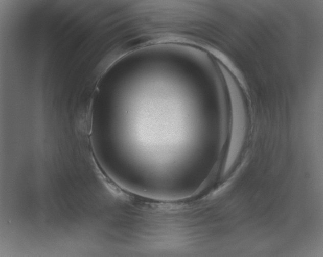 X0000070240905200606021127