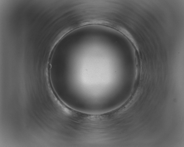 X0000070240906200606021127