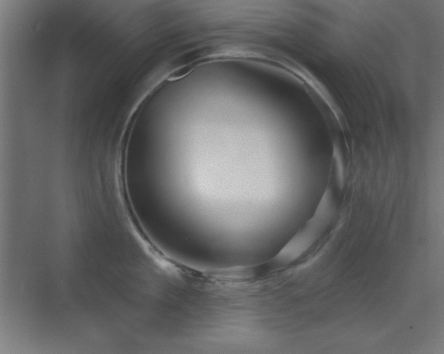 X0000070240909200606021127
