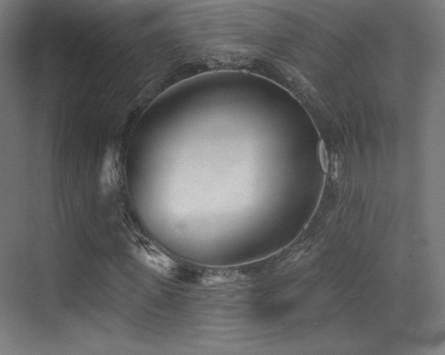 X0000070240915200606021126