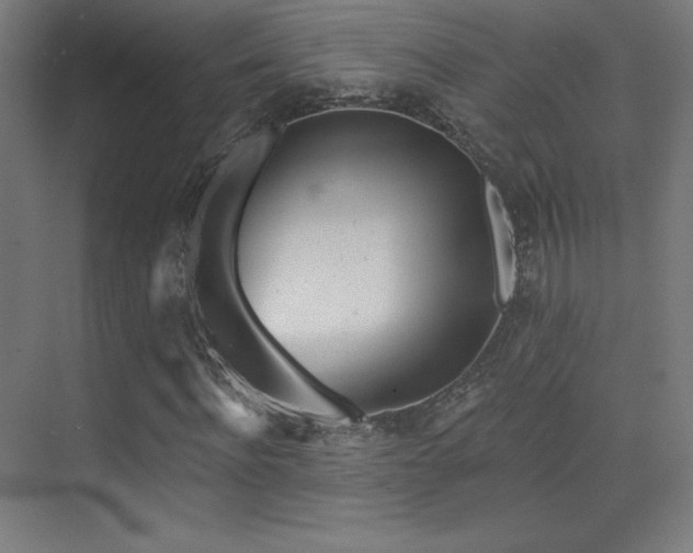 X0000070240916200606021126