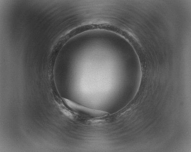 X0000070240920200606021126