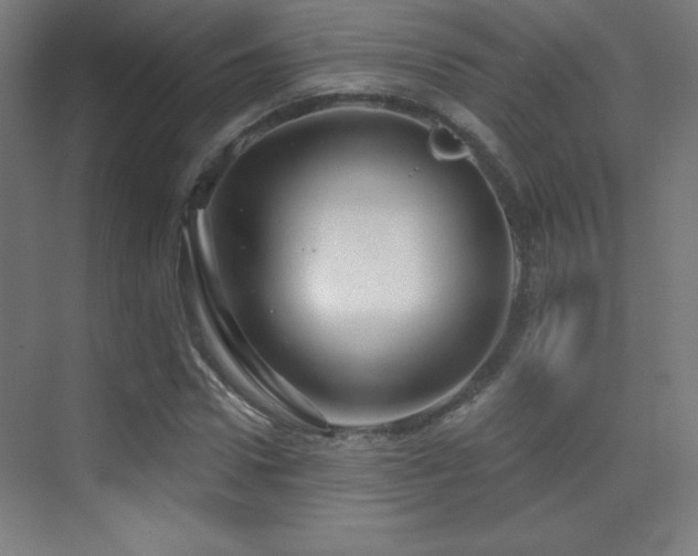 X0000070240922200606021126