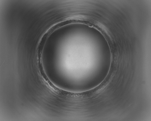 X0000070240923200606021126