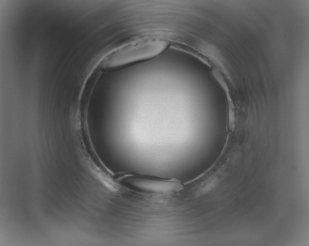 X0000070240924200606021126