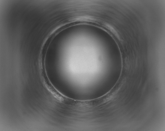 X0000070240931200606021126