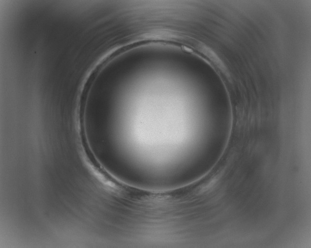 X0000070240939200606021126