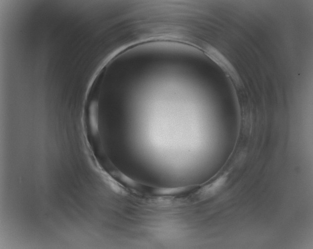 X0000070240956200606021127