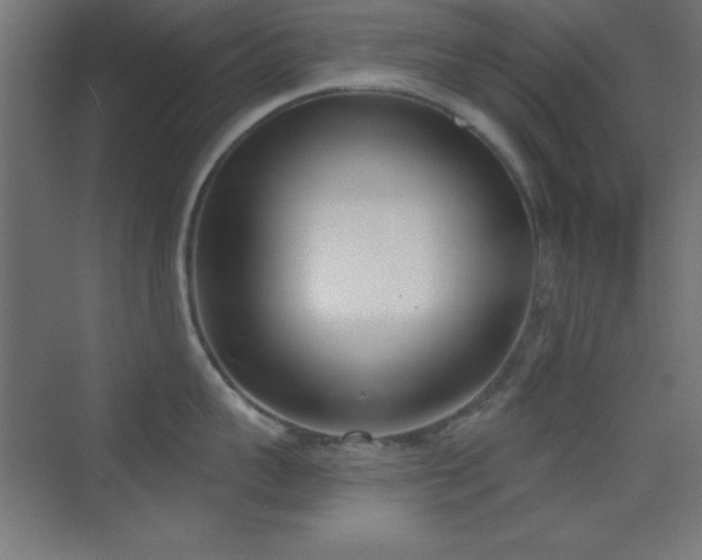 X0000070240959200606021127