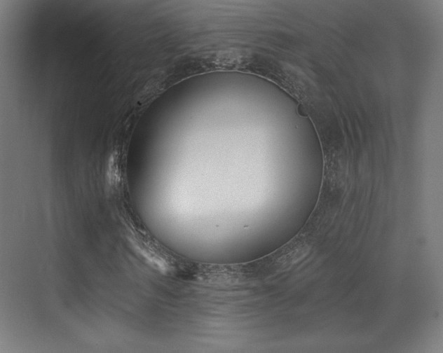 X0000070240962200606021126