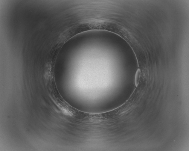 X0000070240964200606021126