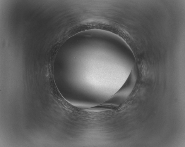 X0000070240965200606021126
