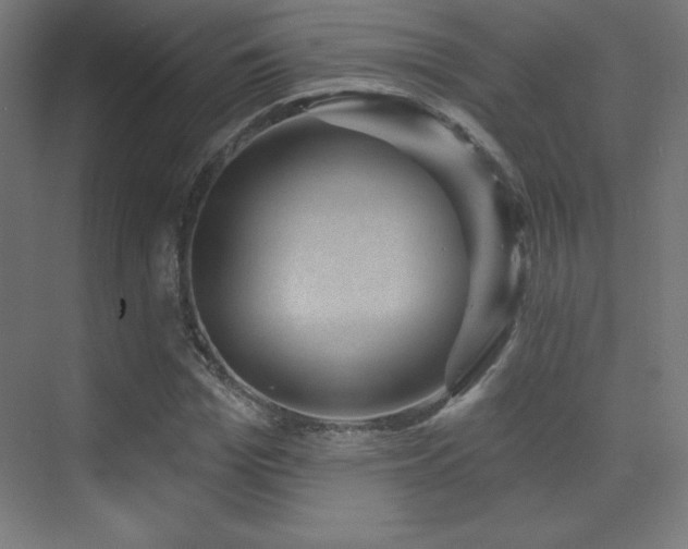 X0000070240969200606021126