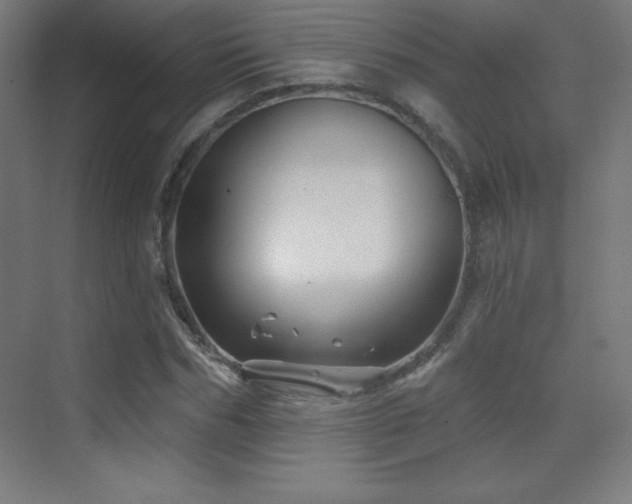 X0000070240970200606021126