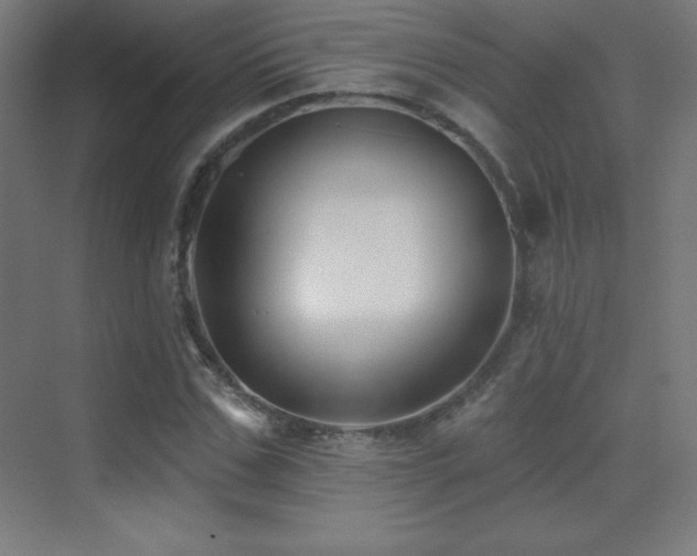 X0000070240971200606021126