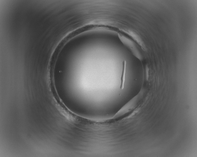 X0000070240976200606021126
