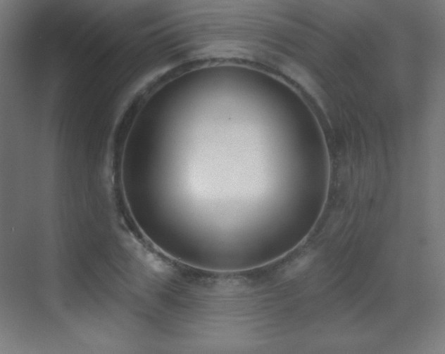 X0000070240979200606021125