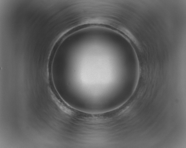 X0000070240980200606021125