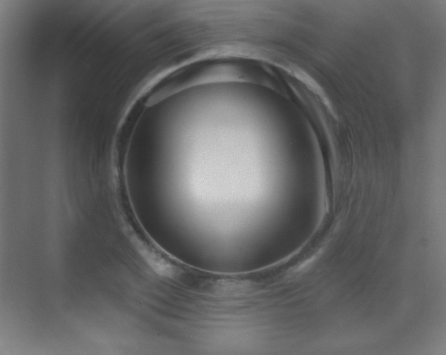 X0000070240981200606021125