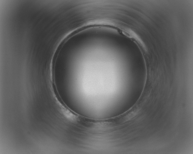 X0000070240988200606021125