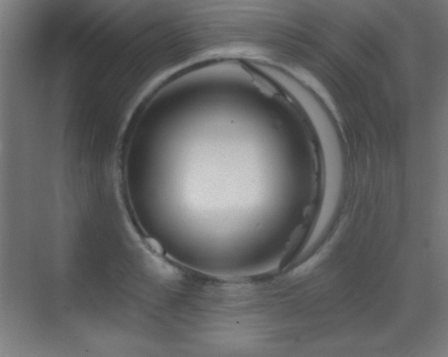 X0000070240989200606021125