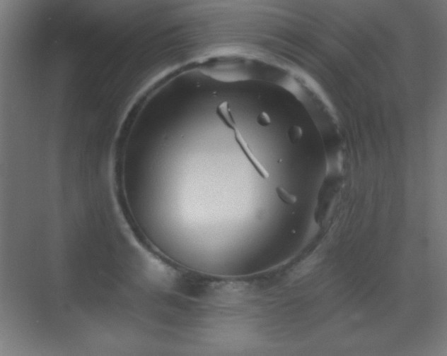 X0000070240991200606021125