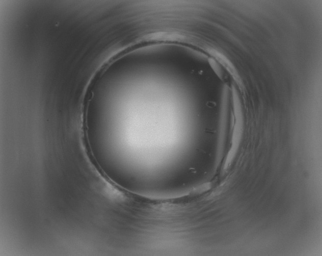 X0000070240992200606021125