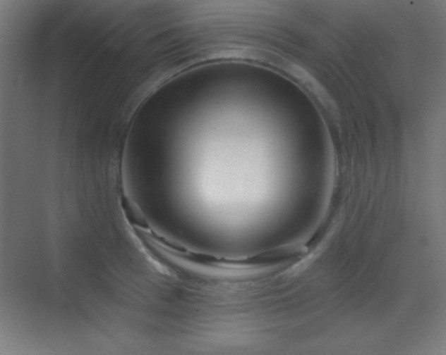 X0000070240993200606021125