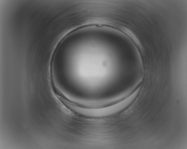 X0000070240996200606021125