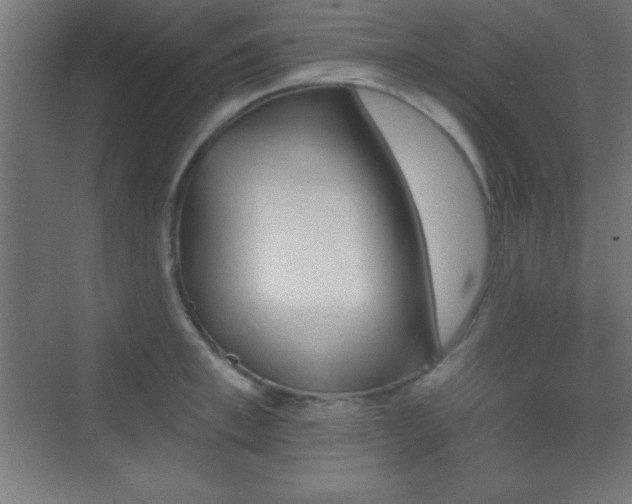 X0000070240997200606021125